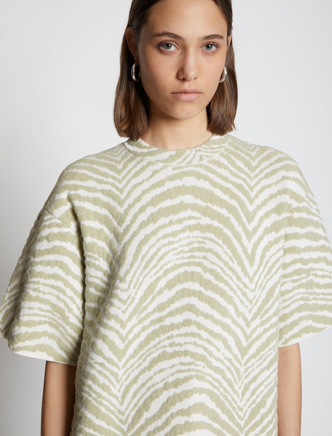 Animal Jacquard Knit Dress #4