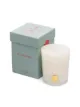 Cire Trudon vela Alabasters