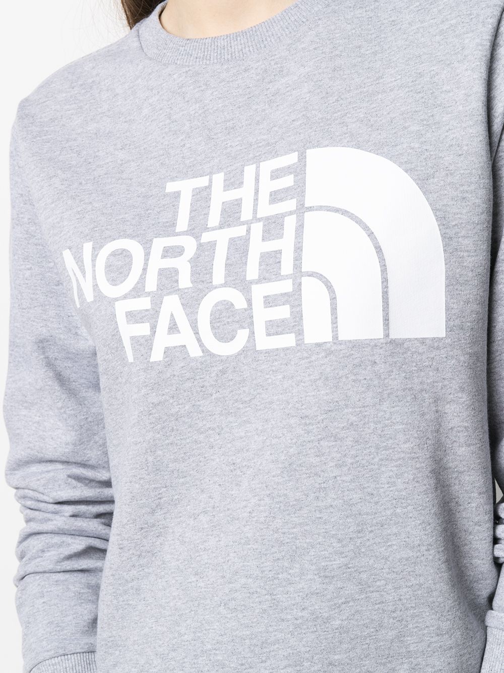 фото The north face толстовка с логотипом