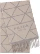 Imagen 1 de Prada bufanda con logo de intarsia y flecos