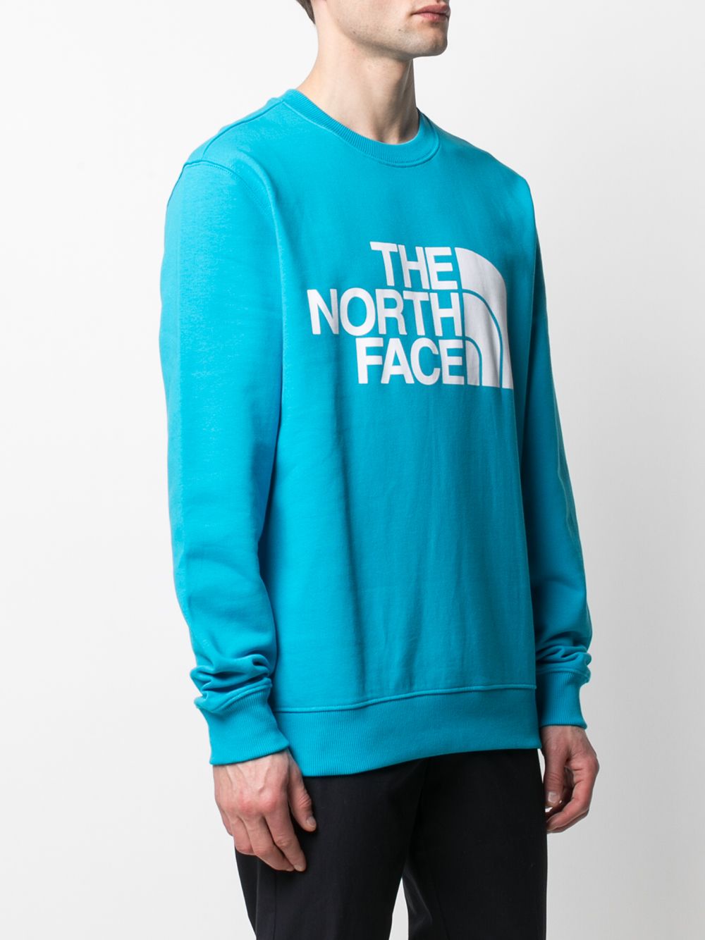 фото The north face толстовка с логотипом