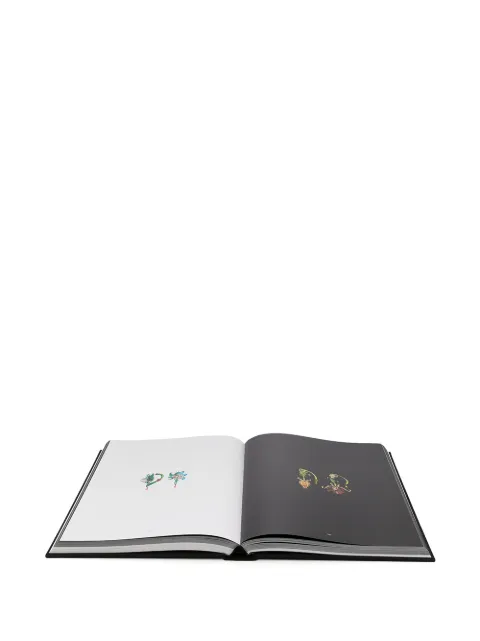 Rizzoli 디올 주알리에: A 투 Z 오브 빅투아르 드 카스텔란 북 - Farfetch
