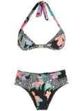 Amir Slama print Hibiscus bikini set - Black