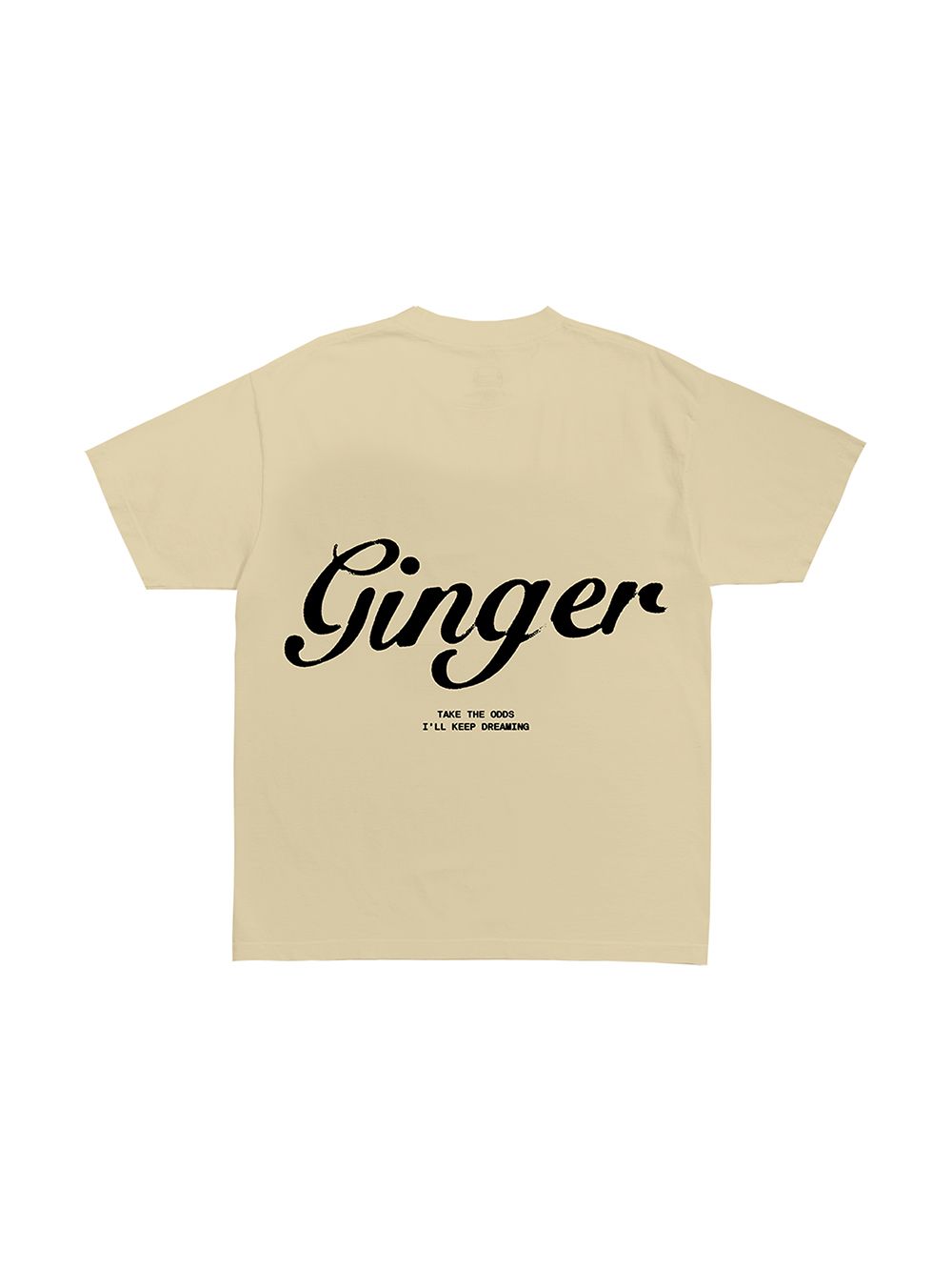 фото Brockhampton romil ginger t-shirt