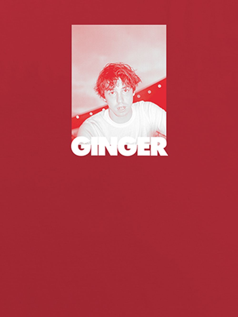 фото Brockhampton matt ginger ii t-shirt