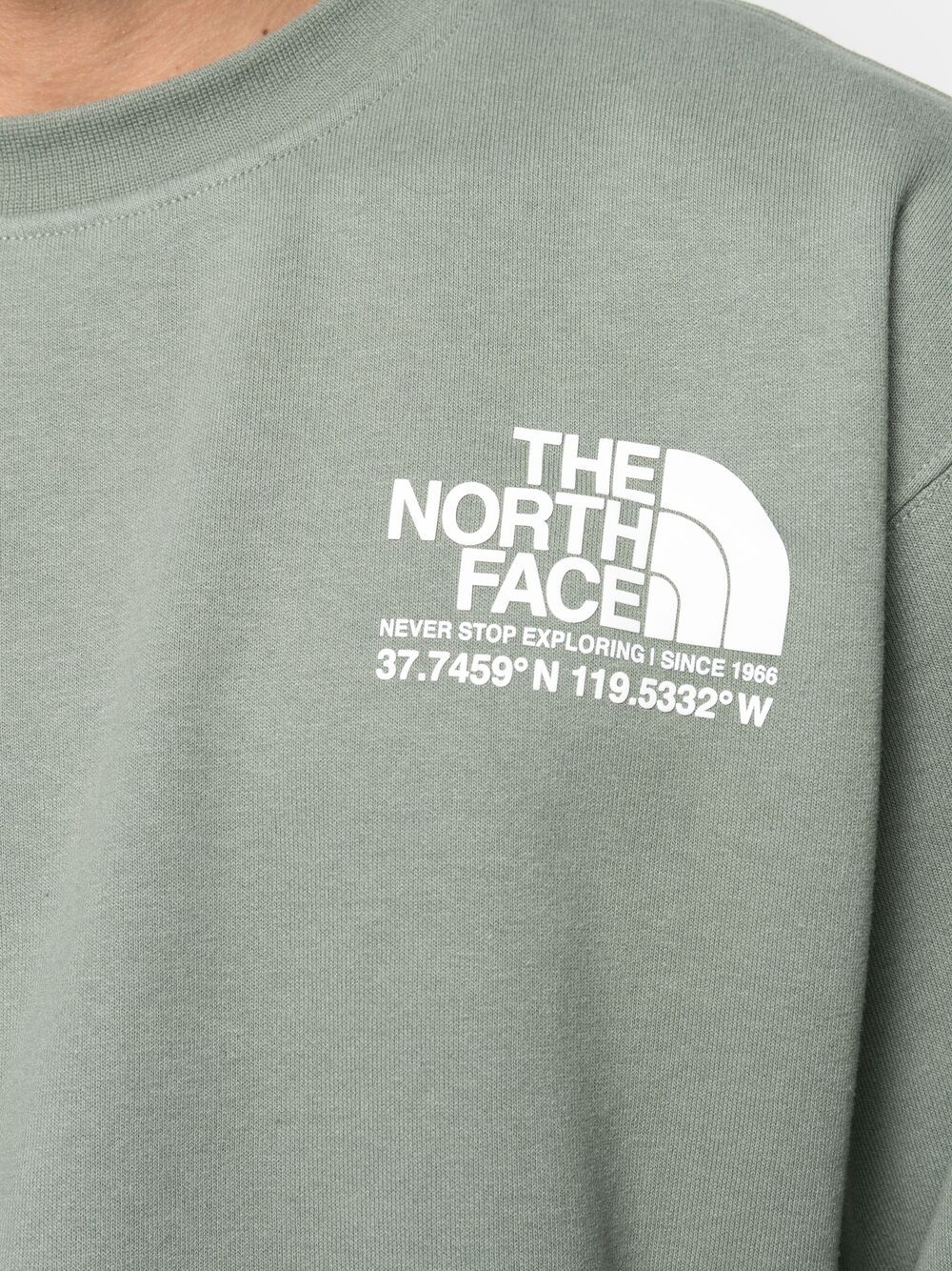 фото The north face толстовка coordinates с логотипом