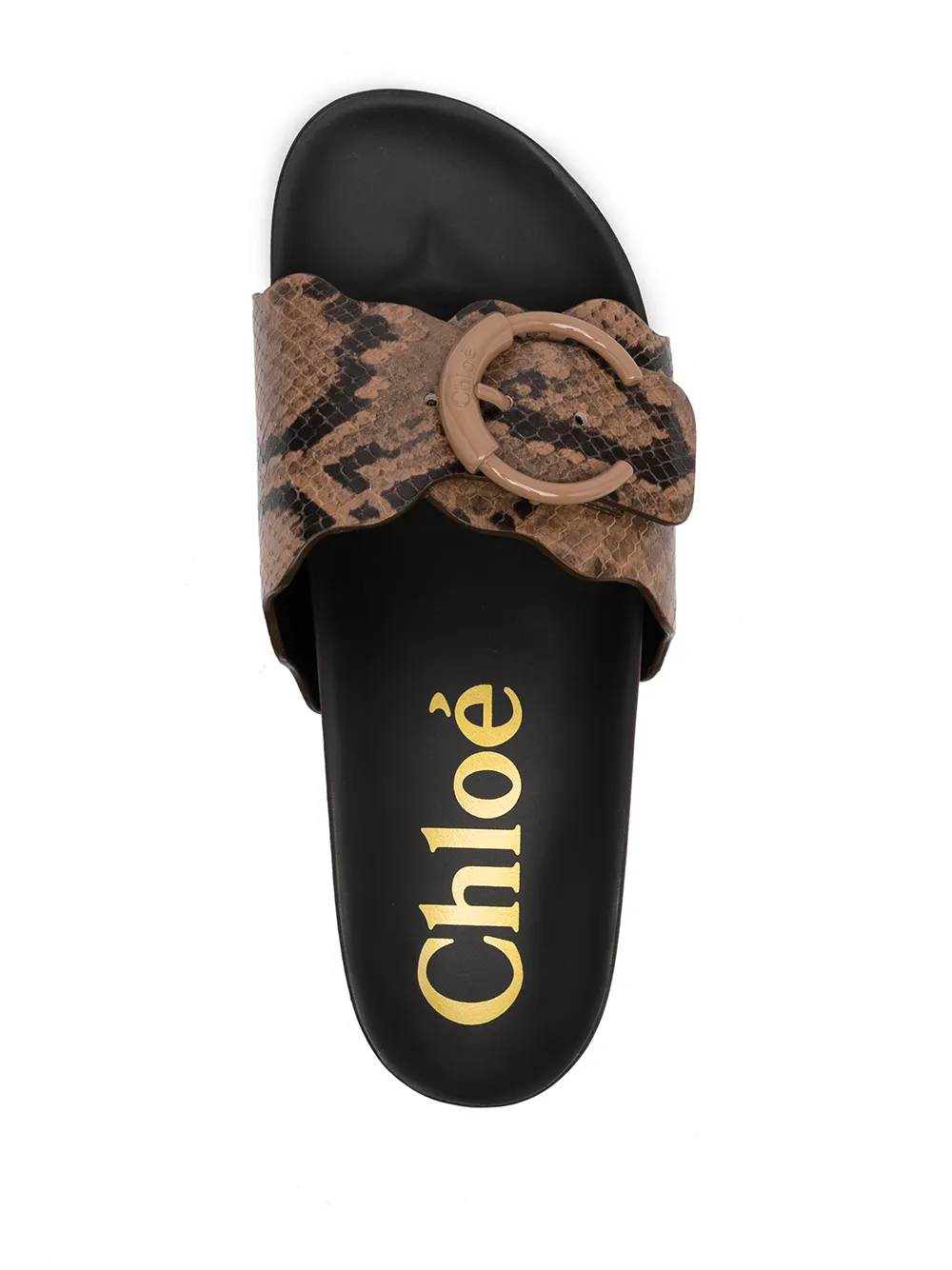 фото Chloé сандалии lauren на платформе со змеиным принтом