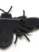 Gucci Pre-Owned rhinestone-embellished bee motif brooch