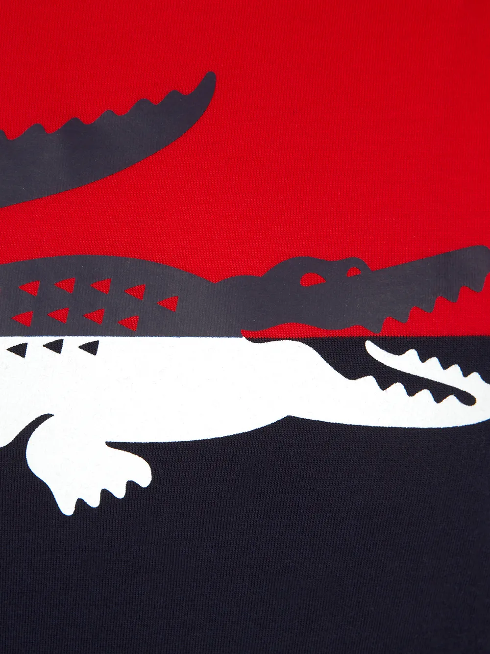 фото Lacoste kids футболка в стиле колор-блок