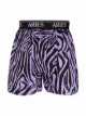 Imagen 2 de Aries bóxer con estampado de cebra