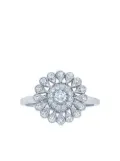 KWIAT 18kt white gold Splendor Sunray diamond ring - Silver