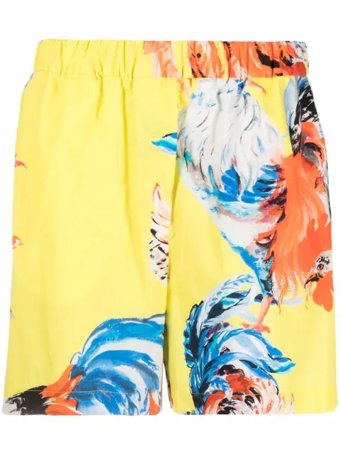 MSGM rooster print shorts