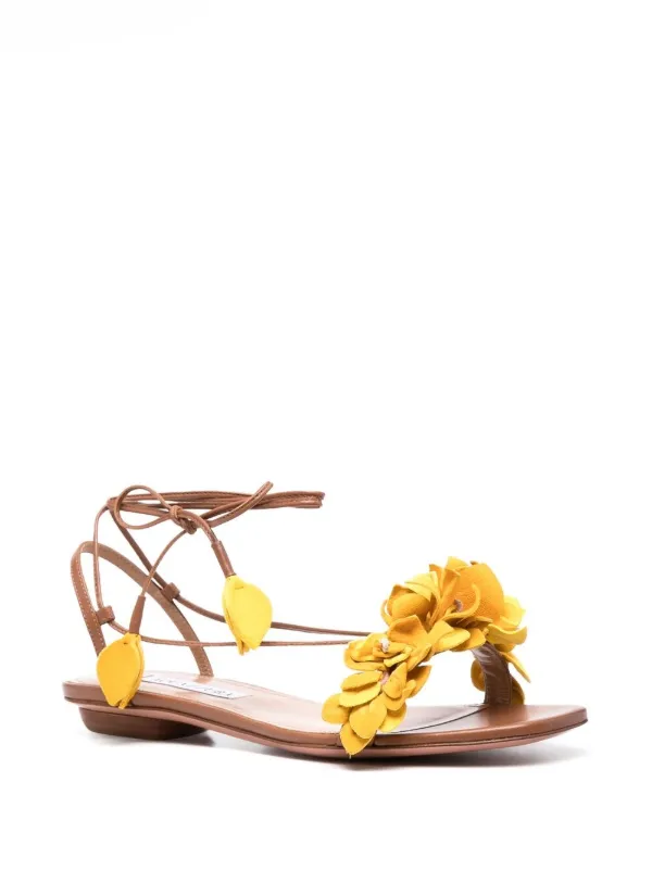 Shop Aquazzura Bougainvillea Laced Flat Sandals With Express Delivery Ringenshops Deck Plimsole Sneakers Med Snore