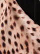 Reina Olga tiger-print swimsuit