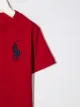 Ralph Lauren Kids Pony logo crew-neck T-shirt