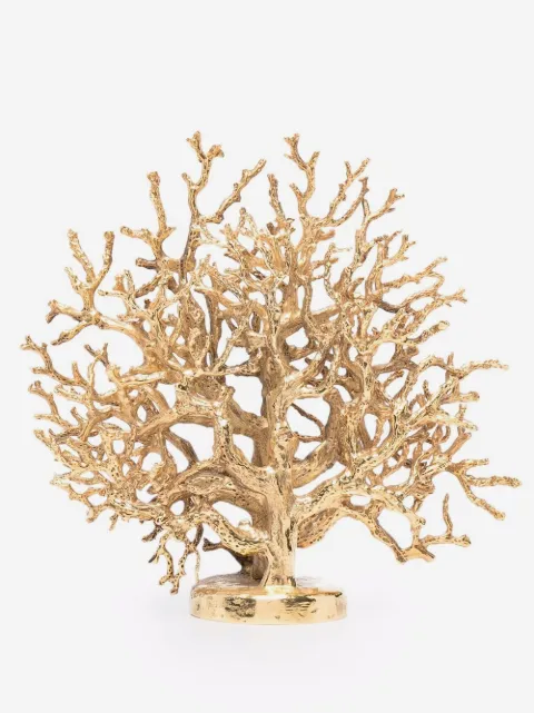 Goossens polished Coral Tree
