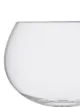 Image 2 of LSA International Balloon gin glass set