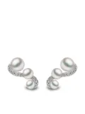 Yoko London 18kt white gold diamond Akoya pearl Sleek stud earrings - Silver
