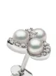 Yoko London 18kt white gold Sleek Akoya pearl diamond stud earrings