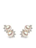 Yoko London 18kt yellow gold Sleek Akoya pearl diamond stud earrings