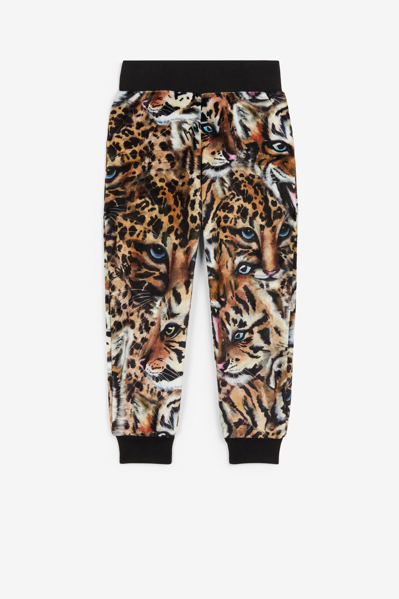 roberto cavalli sweatpants