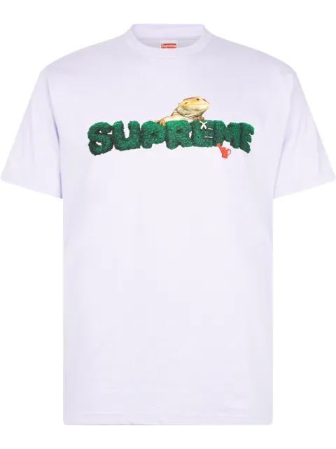 supreme lizard