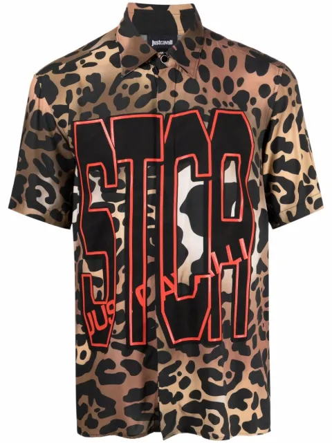 stca just cavalli