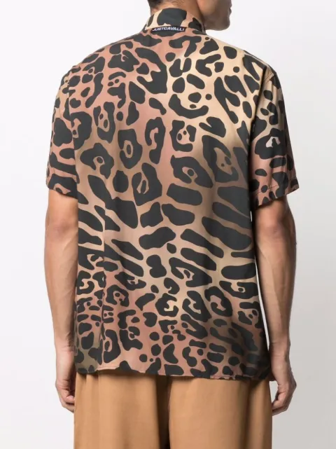 stca just cavalli