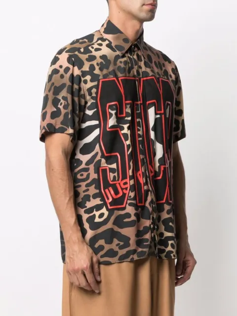 stca just cavalli