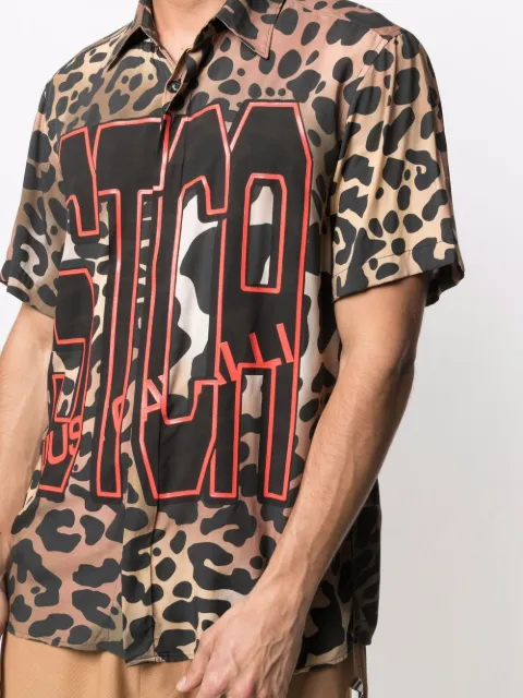 stca just cavalli
