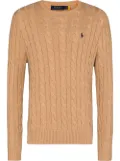 Polo Ralph Lauren logo-embroidered cable-knit jumper - Brown
