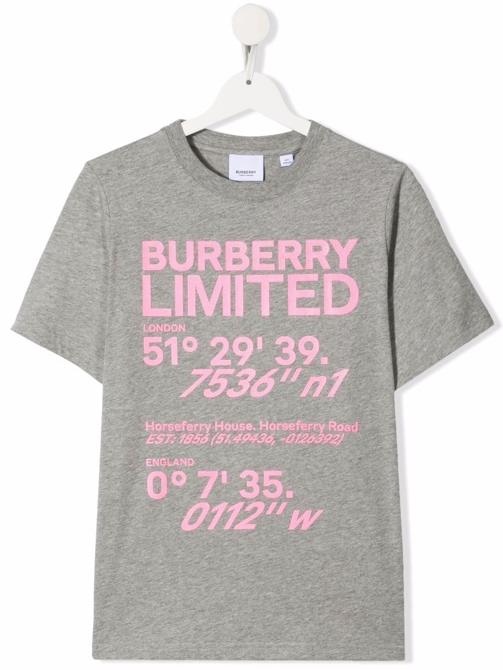 Burberry Logo-print T-shirt In Grey