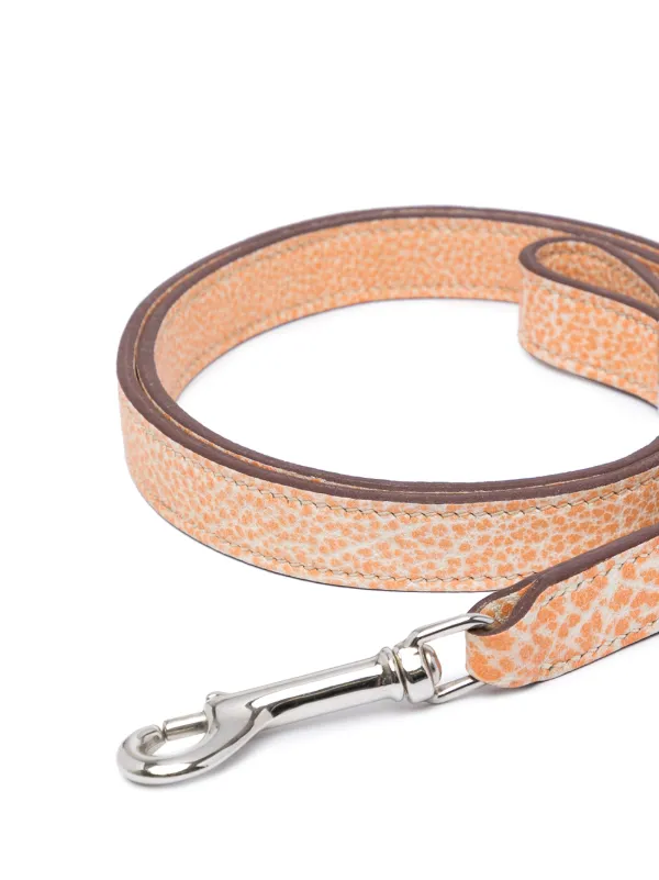 hermes leash