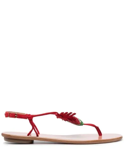 Patillita Flat Sandals Aquazzura Eraldo Com Patillita Flat Sandals Aquazzura Eraldo Com