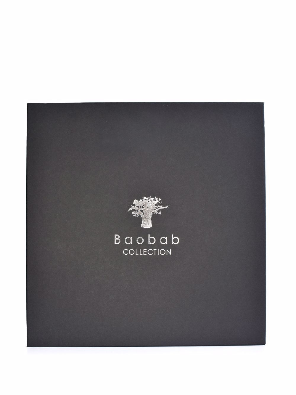 фото Baobab collection диффузор totem platinum