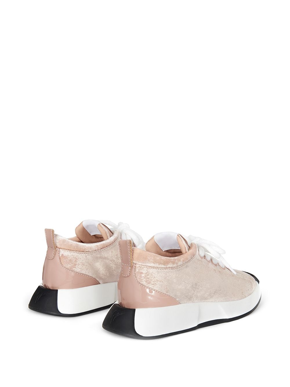 Shop Giuseppe Zanotti Ferox Velvet Sneakers In 粉色
