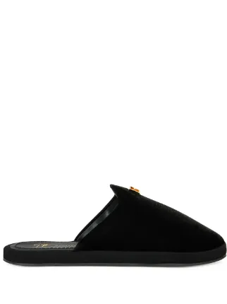 Giuseppe Zanotti