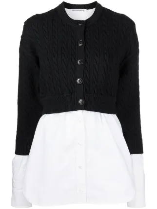 Alexander Wang