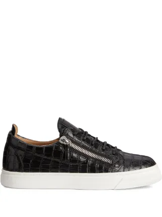 Giuseppe Zanotti