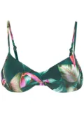 Lygia & Nanny Fiji leaf-print bikini top - Green