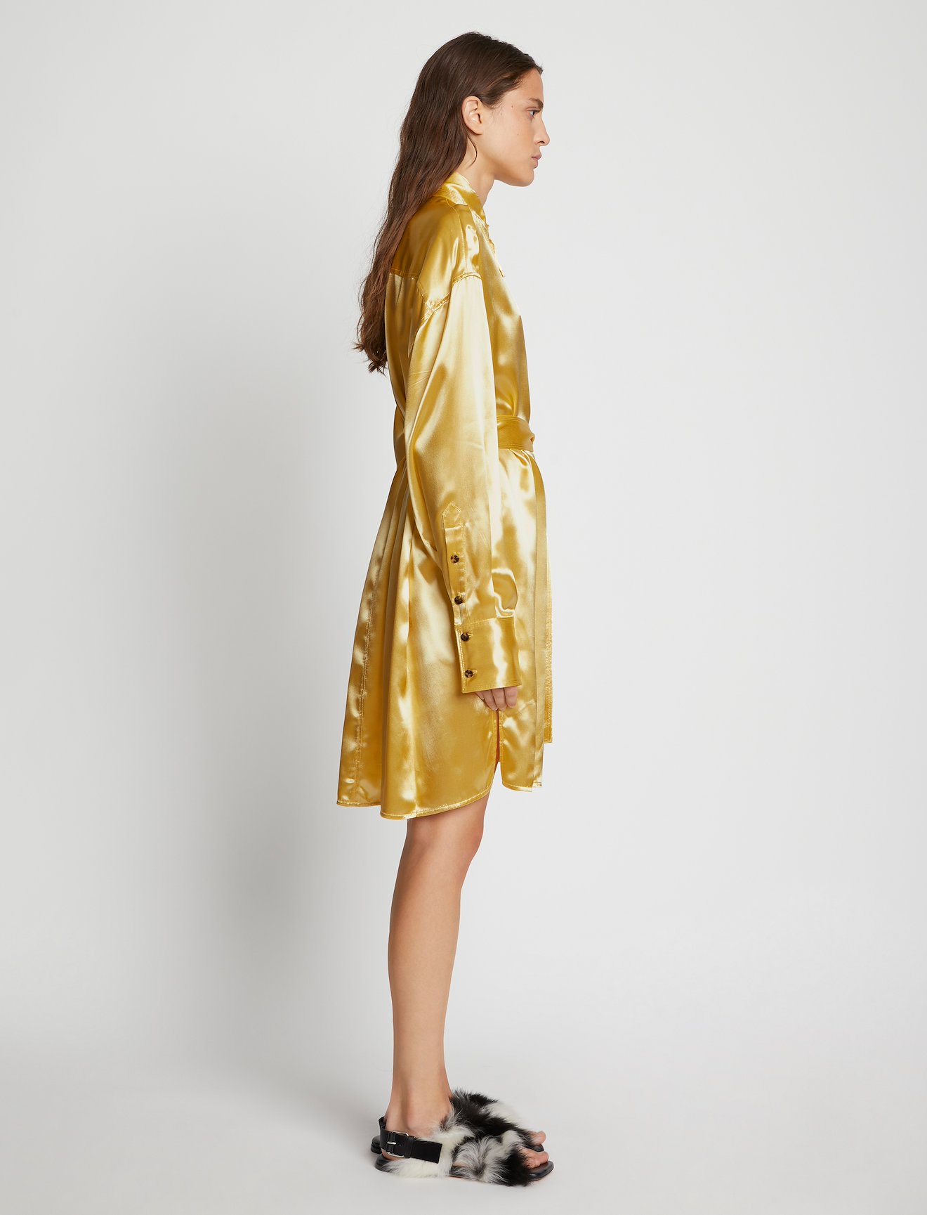 Glace Shirt Dress #1