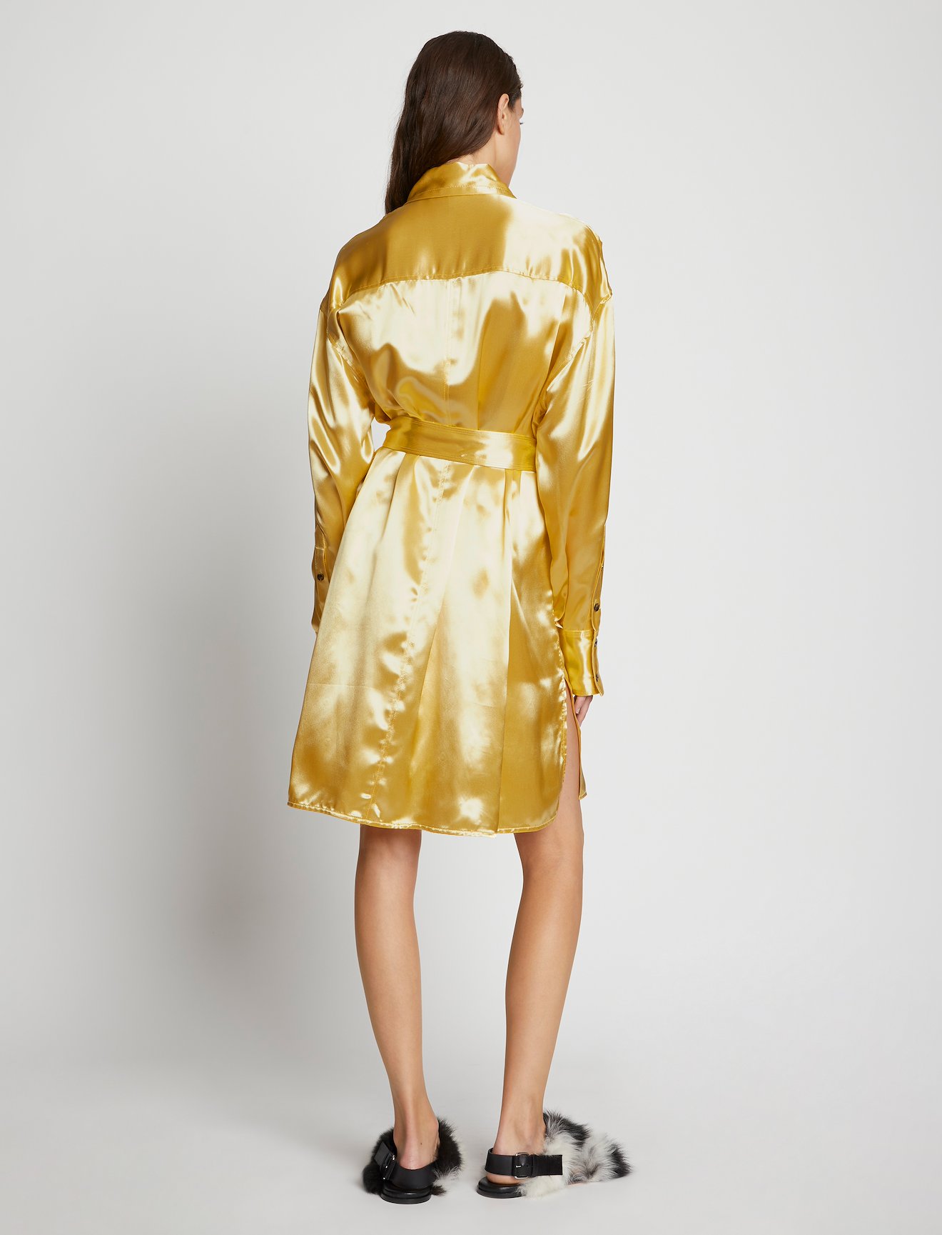 Glace Shirt Dress #2