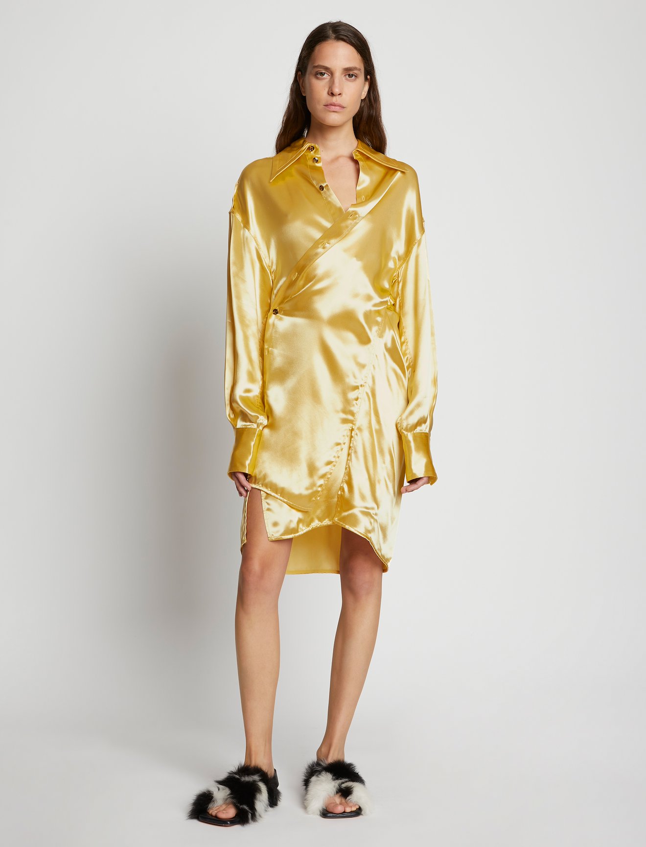 Glace Shirt Dress #5