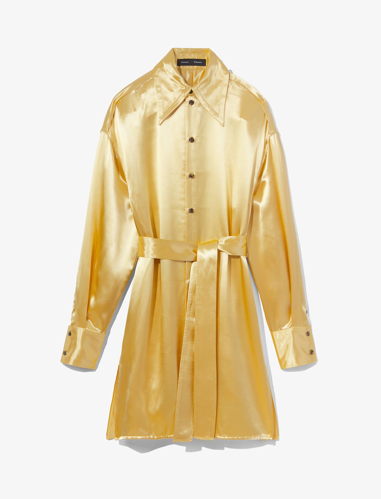 Glace Shirt Dress #4