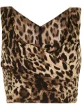 Dolce & Gabbana leopard-print draped crop top - Brown
