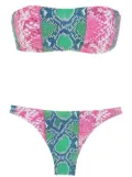 Amir Slama snakeskin-print bikini set - Green