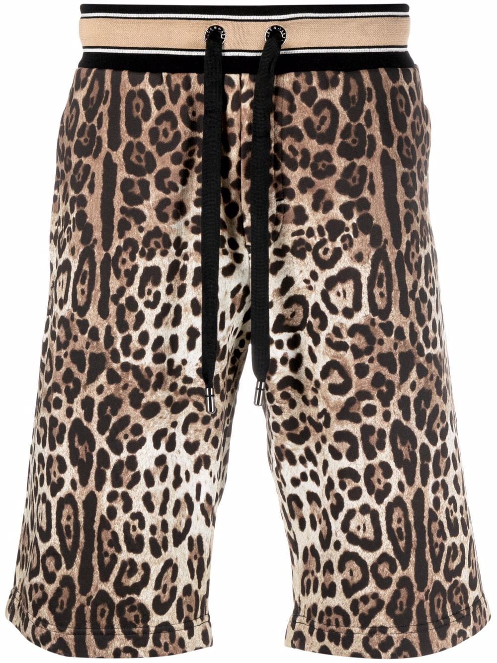 dolce gabbana leopard shorts