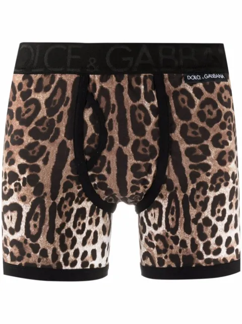 Dolce & Gabbana leopard-print long-leg briefs