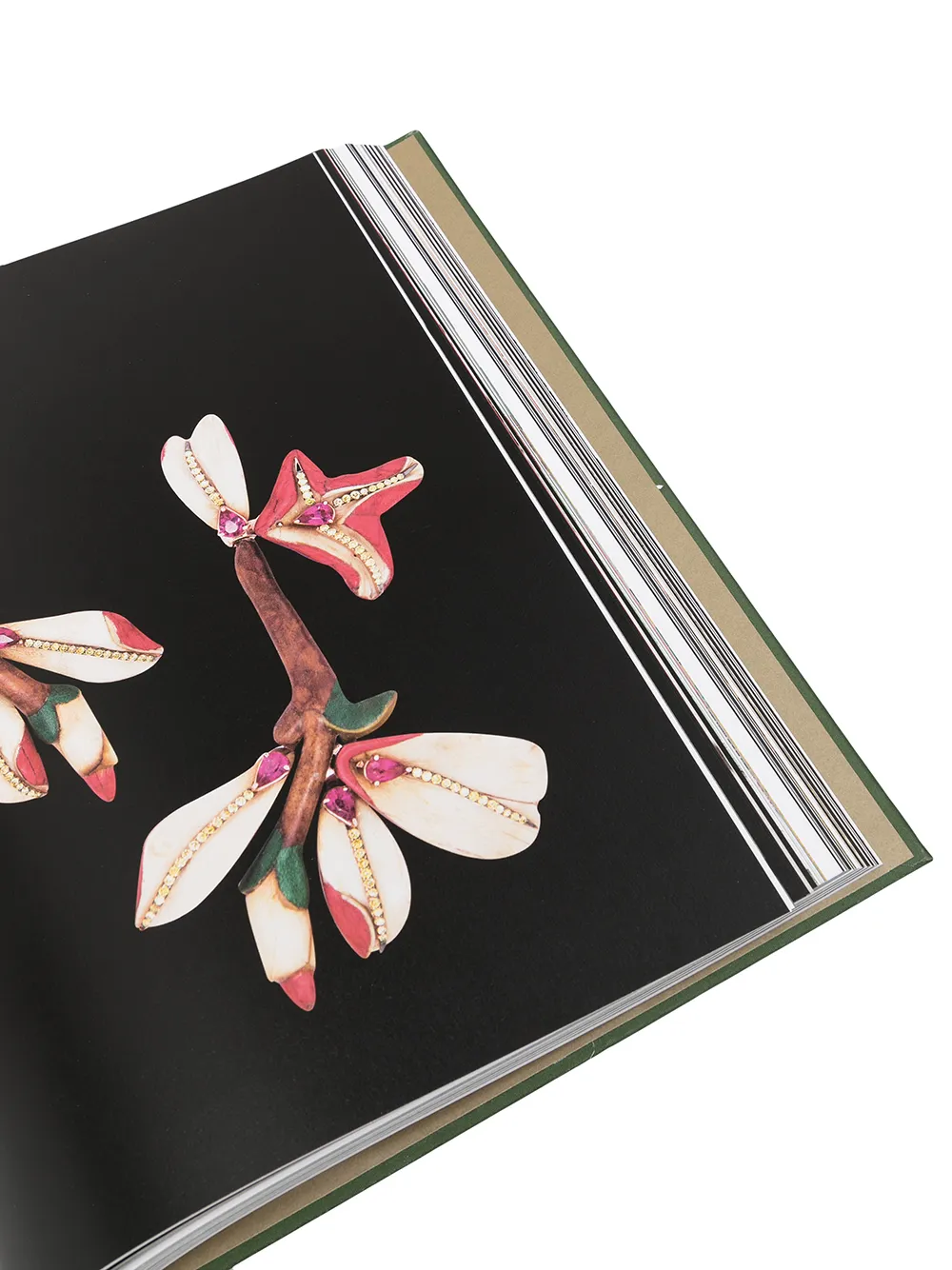 фото Assouline книга silvia furmanovich