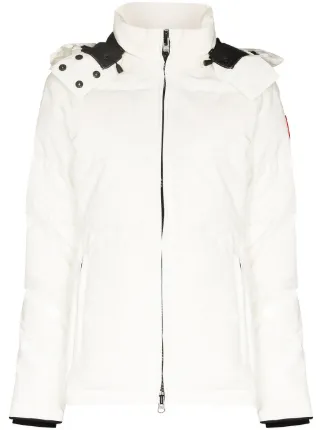 Canada Goose